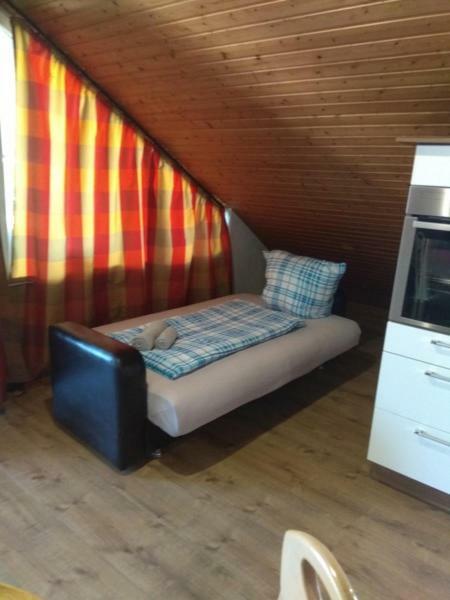 Appartment Am Waldmattensee Kippenheimweiler Zewnętrze zdjęcie